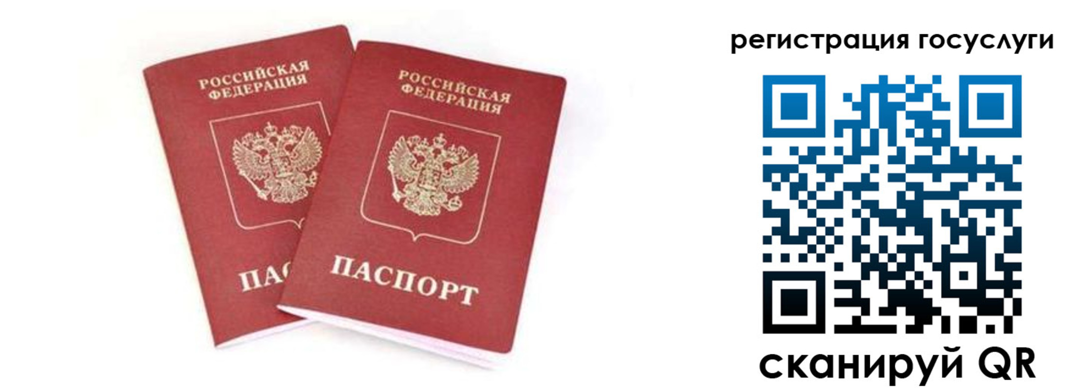 прописка в квартире в Зеленоградске
